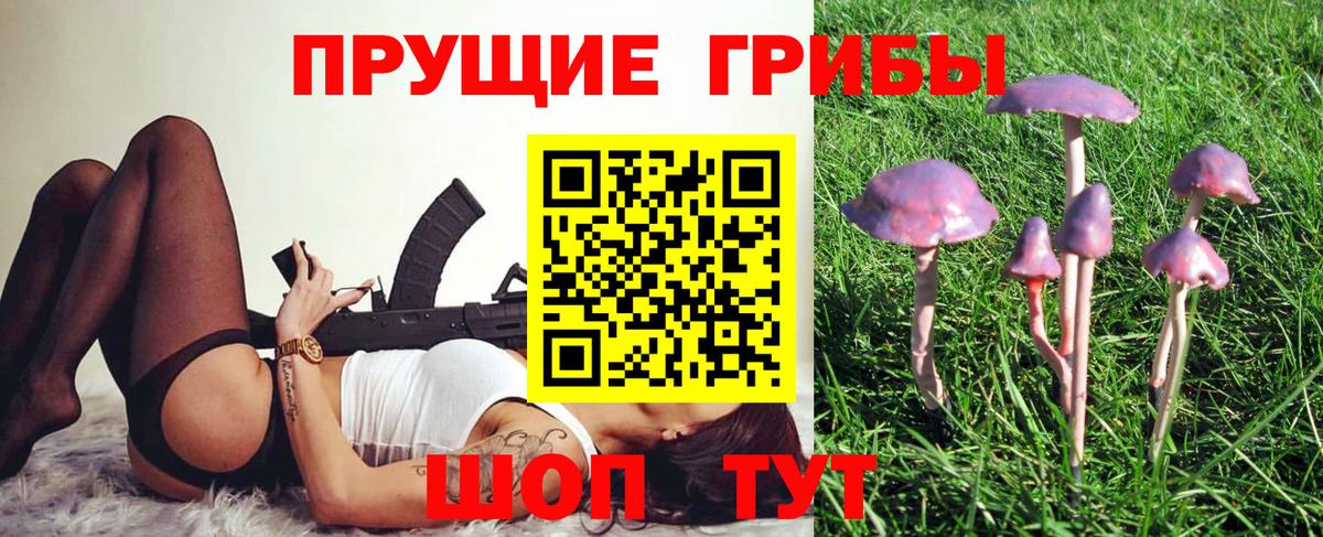 Галлюциногенные грибы MAGIC MUSHROOMS  Горно-Алтайск 